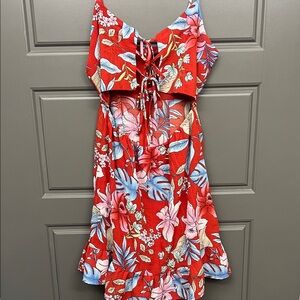Forever 21 Red Floral Mini Dress